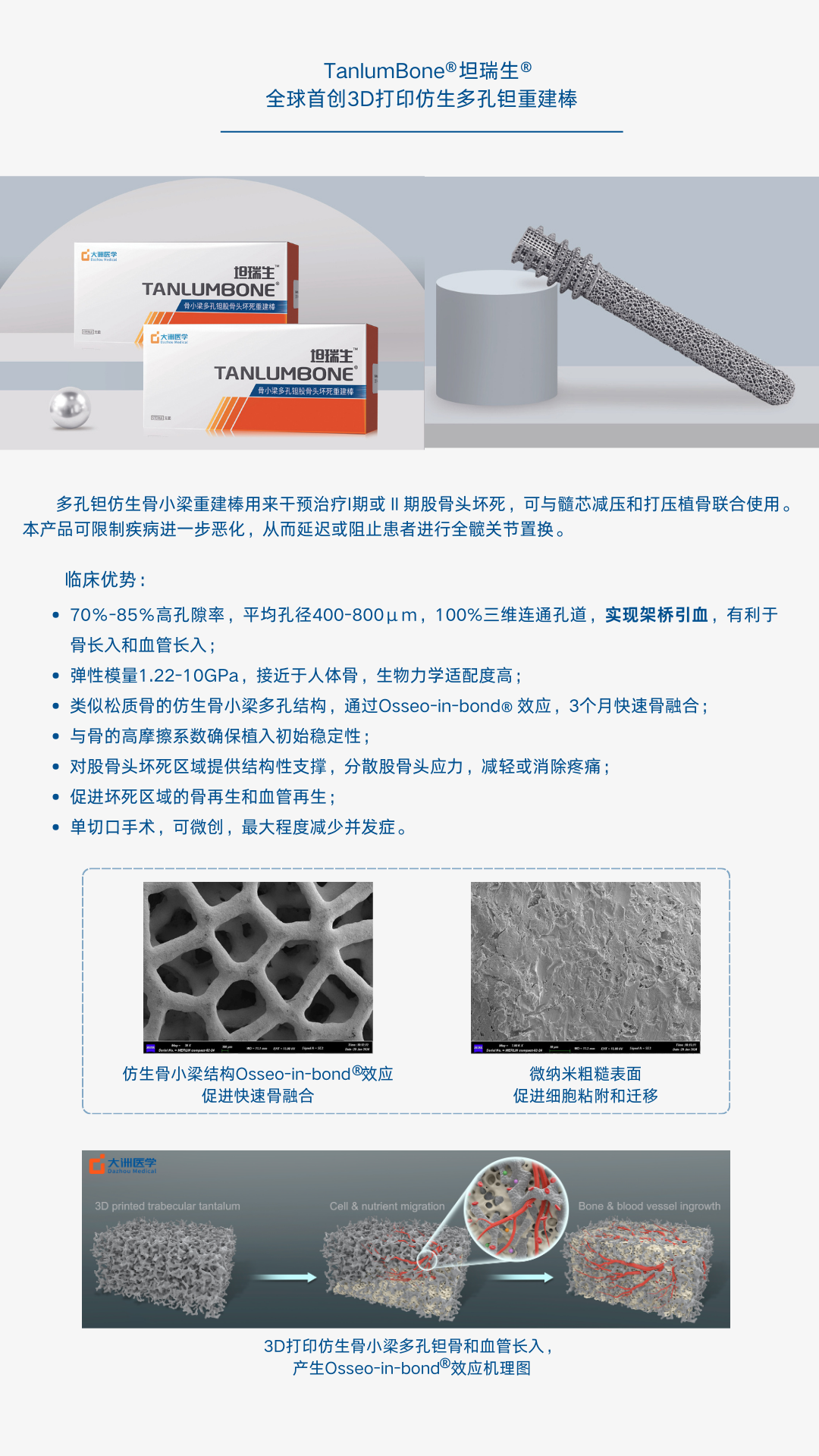 大洲醫(yī)學(xué)-多孔鉭重建棒宣傳彩頁2024.png